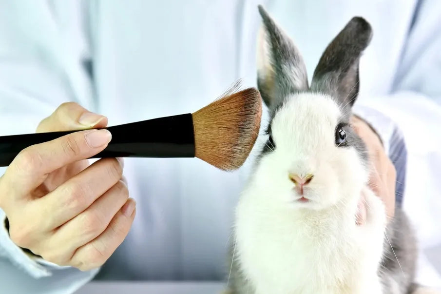Cruelty Free - Moda o Ley Mexicana
